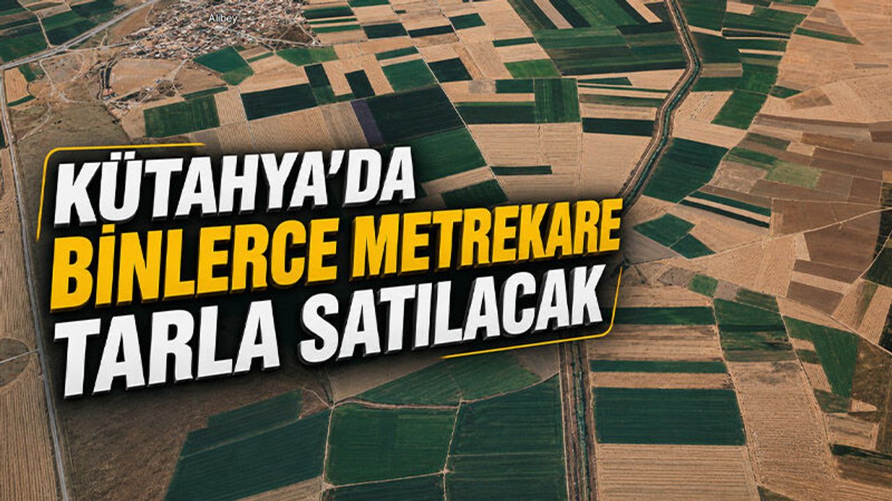 Kütahya’da binlerce metrekare tarla ihale ile satılacak