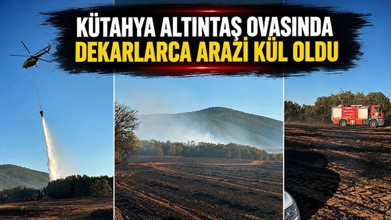Kütahya Altıntaş Ovası'nda dekarlarca arazi kül oldu
