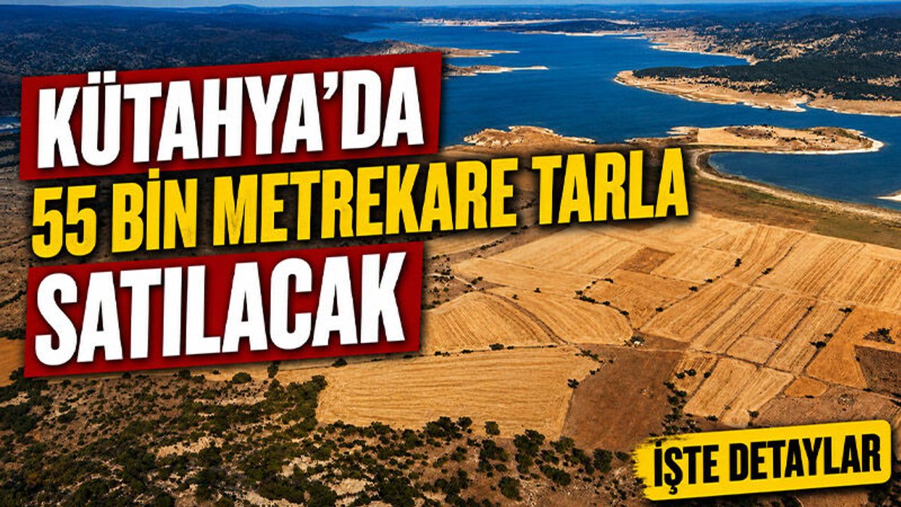 Kütahya'da onbinlerce metrekare tarla satılacak