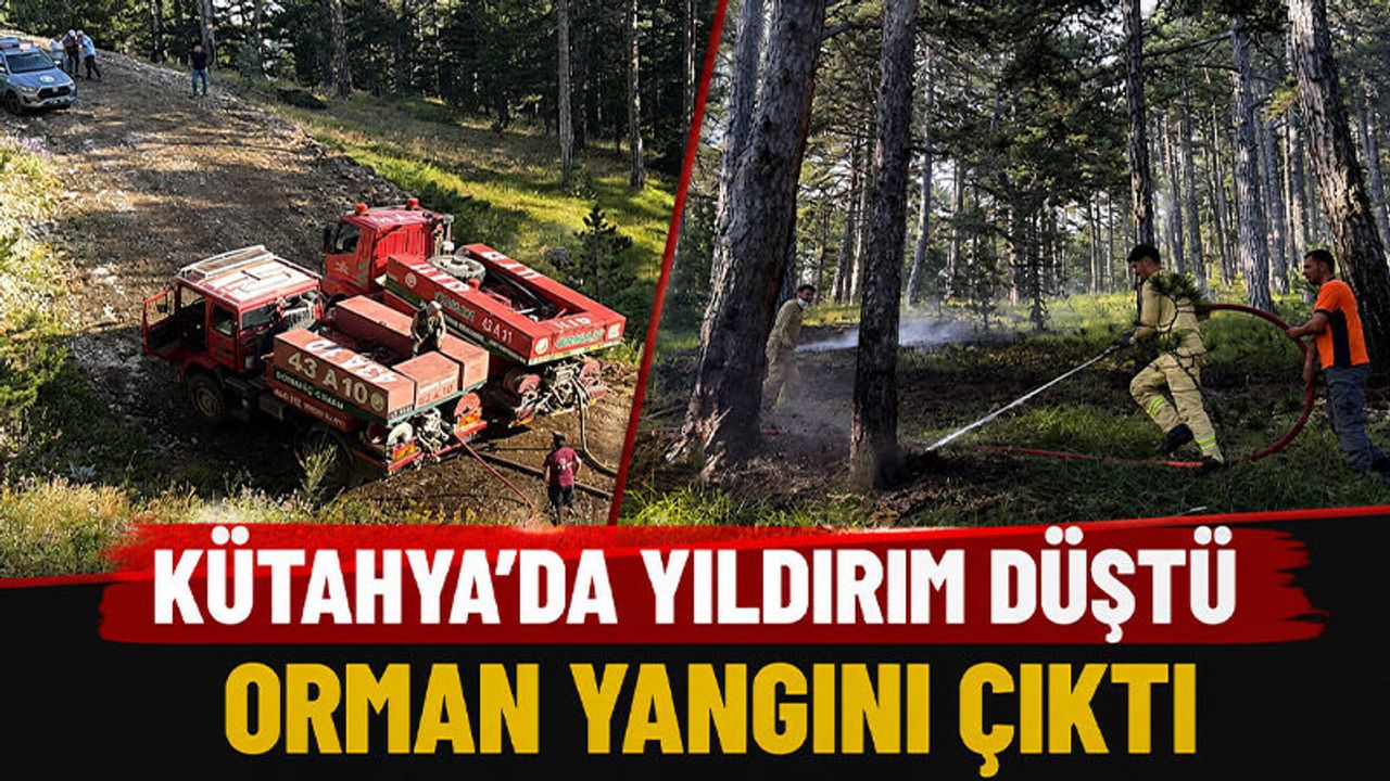 Kütahya’da yıldırım orman yangınına neden oldu