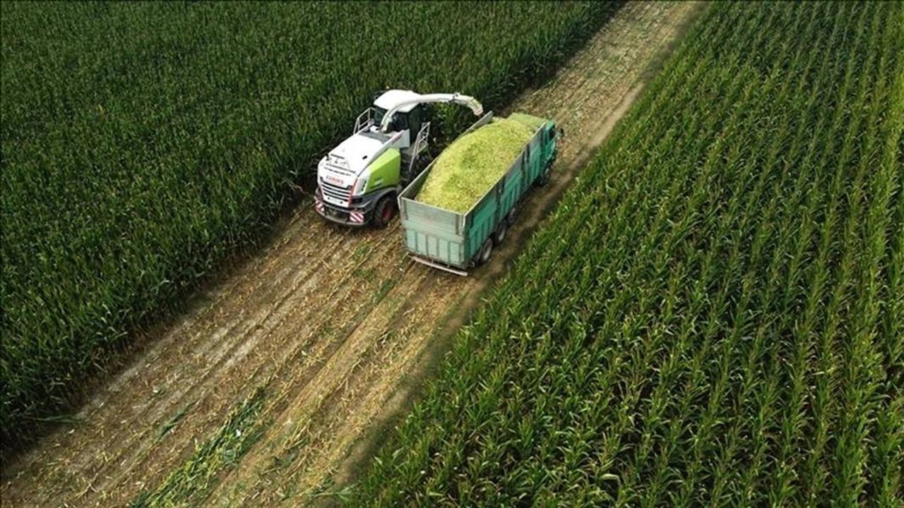 Tarım ÜFE haziranda aylık bazda yüzde 4,04, yıllık yüzde 57,93 arttı