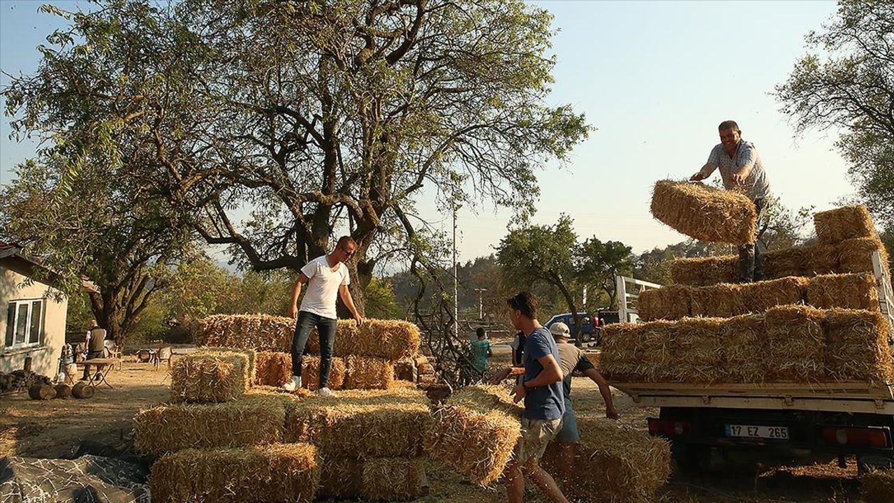 Çanakkale'de meralarını kaybeden köylülere yem desteği veriliyor