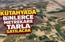 Kütahya’da binlerce metrekarelik tarla, ihale ile satılacak