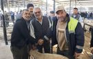 Kütahya’da canlı hayvan pazarında hareketlilik arttı