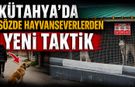 Kütahya’da sözde hayvanseverlere para cezası uygulanıyor