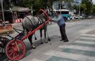 Kütahya'da kaçan fayton atı trafiği birbirine kattı
