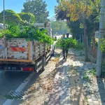 Kütahya Cumhuriyet Mahallesi’nde temizlik çalışması