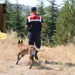 Kütahya’da kadavra arama köpeği ormanda kayıp genci aradı