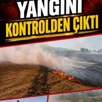 Asayiş