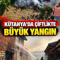 Asayiş
