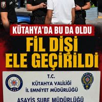 Asayiş