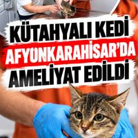 Sağlık