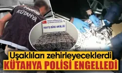 Kütahya polisi Uşak'a uyuşturucu sevkiyatını önledi