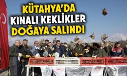 Kütahya’da 100 kınalı keklik doğayla buluştu