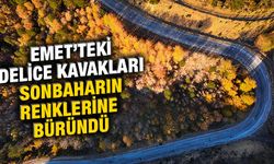 Kütahya'da delice kavakları sonbahar renklerine büründü