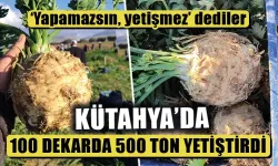 Kütahya’da ilk kez ekti, 500 ton verim aldı