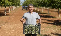 Memleketi Uşak'a döndü, ceviz işleme tesisi kurdu