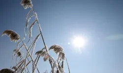 Meteorolojiden son dakika azot dioksit gazı açıklaması