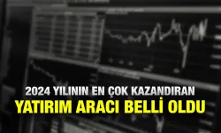 2024 yılının en çok kazandıran yatırım aracı belli oldu