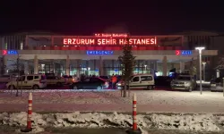 Erzurum'da karbonmonoksit gazından 21 kişi zehirlendi