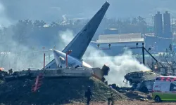 Güney Kore’deki Jeju Air uçak kazasının sebepleri araştırılıyor