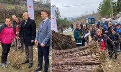 Kütahya Tavşanlı’da hünnap ve cennet hurması fidanları dağıtıldı