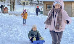 Kütahya Topuk Yayla Tabiat Parkı yeni yılın ilk gününde ziyaretçi akınına uğradı