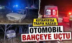 Kütahya’da otomobil bahçeye uçtu, 1 yaralı