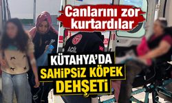 Kütahya'da sahipsiz köpekler anne ve kızına saldırdı