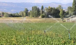 Tarım sektöründe bu yıl en büyük yatırım sulama projelerine