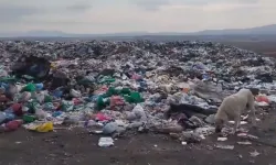 Yozgat'ta 4 yaşındaki çocuğunu öldüren anne tutuklandı