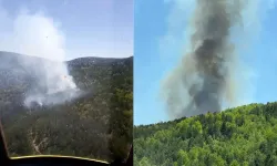 Kütahya'da ormanlık alanda çıkan yangın kontrol altına alındı