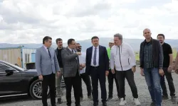 Kütahya’da sahipsiz sokak hayvanları için çalışmalar sürüyor