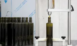 Kadın mühendis devlet desteğiyle zeytinyağı fabrikası kurdu