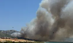 Karaburun'da orman yangınına havadan ve karadan müdahale