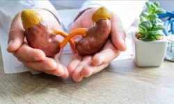 Böbrek sağlığını korumanın 8 önemli kuralı