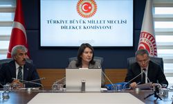 TBMM Dilekçe Komisyonu vatandaşların sorunlarına çözüm üretiyor