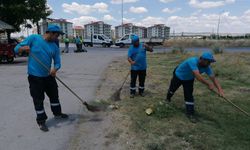 Kütahya Osmangazi Mahallesi’nde mıntıka temizliği yapıldı