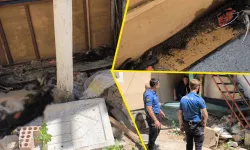 Kütahya'da "ceset kokusu geliyor" ihbarı polisi alarma geçirdi