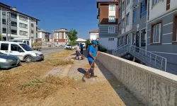 Kütahya’da mahallelerde ot temizliği yapıldı