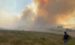 Kütahya Dumlupınar'da ormanlık alanda yangın