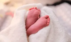 Üç DNA ile doğan sekiz bebek kalıtsal hastalıklardan korundu