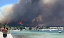 Çanakkale’de orman yangını: Havadan ve karadan müdahale sürüyor