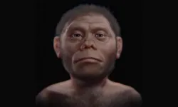 Endonezya’da gizemli hominin izleri: Hobbit’lerin komşuları kimdi?