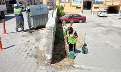 Kütahya Meydan Mahallesi’nde Kapsamlı Temizlik Çalışması