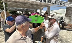 Müzisyen Selçuk Alagöz Bodrum'da son yolculuğuna uğurlandı
