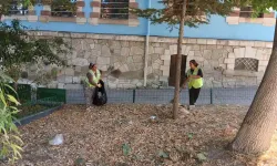 Saray Mahallesi çevresinde temizlik çalışmaları sürüyor