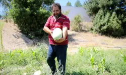 Yakınlarını kanserden kaybedince organik tarıma yöneldi