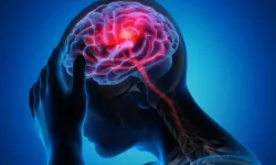 Travmanın beyindeki hormonal etkisi ortaya çıkarıldı