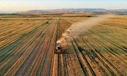 Tarım sezonunun ilk 2 ayında yağışlar yüzde 19 azaldı